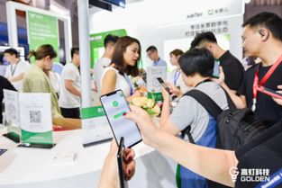 高燈科技亮相騰訊全球數(shù)字生態(tài)大會，專注打造智慧財(cái)稅極致體驗(yàn)