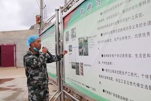 科技賦能，服務(wù)引領(lǐng) 技術(shù)推廣在脫貧攻堅(jiān)與農(nóng)民增收中的核心作用